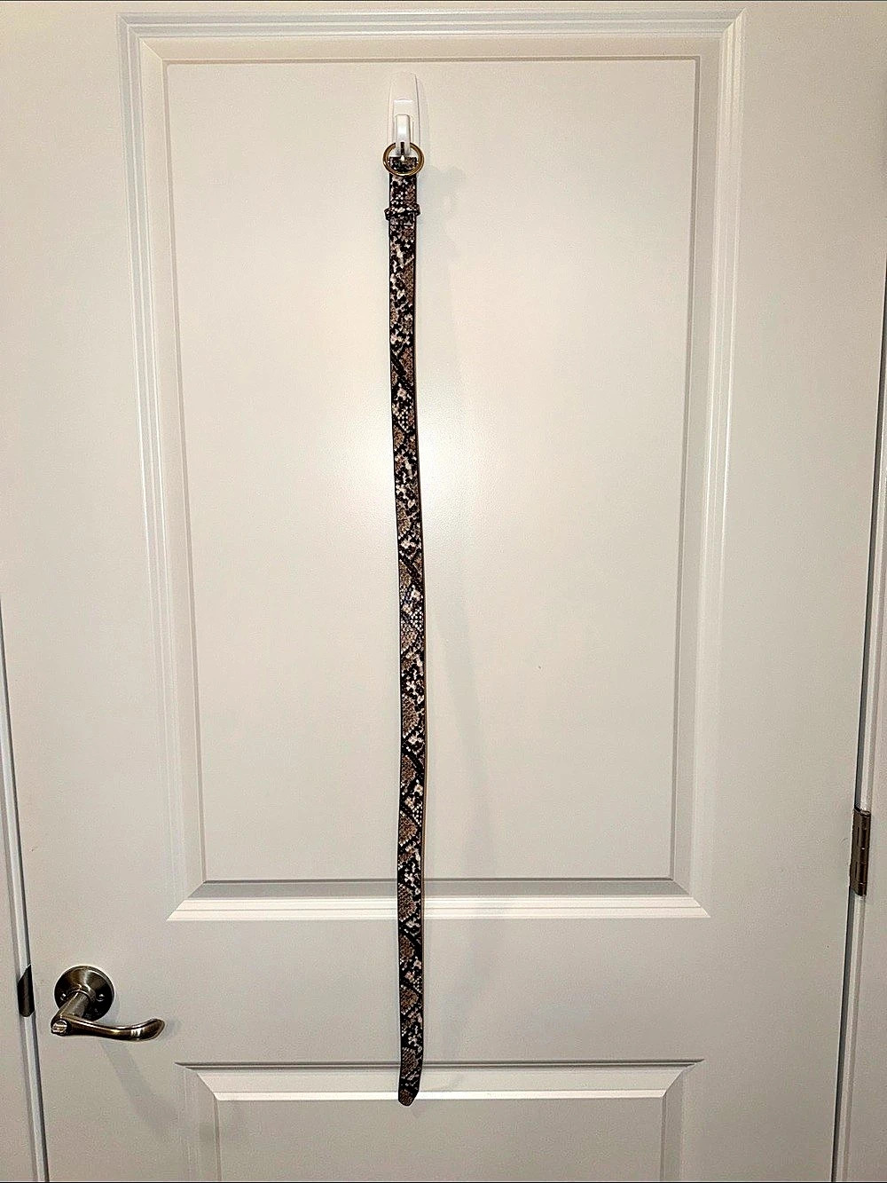 Faux Sanke Print Belt in Brown & Black Like New Size Small